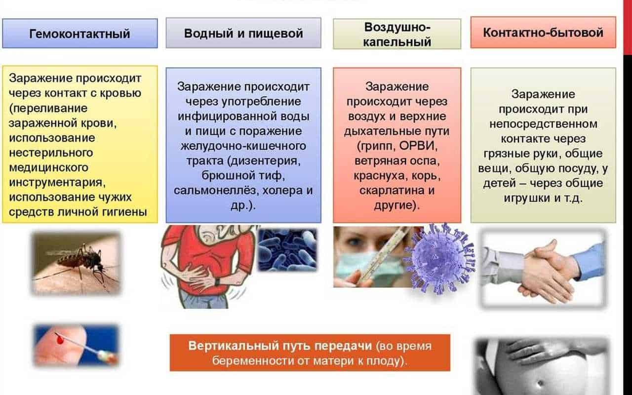 Инфекционные и неинфекционные заболевания обж 10 класс