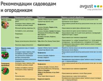 Капустница и садоводство: эффективные методы борьбы и защита растений от этого вредителя