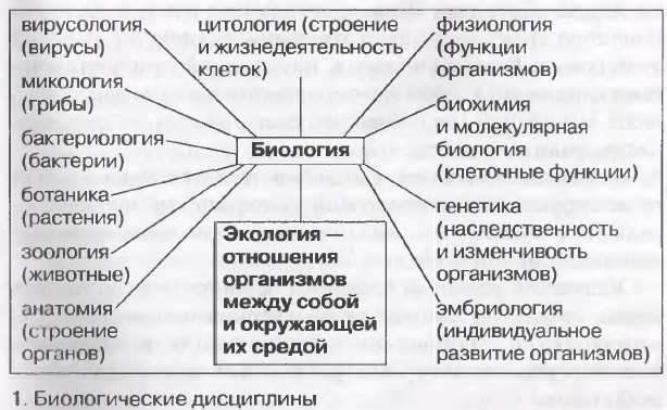 Биологические науки 6 класс